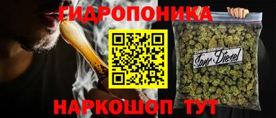 молекула духа Гатчина