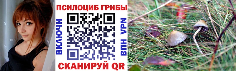Псилоцибиновые грибы прущие грибы Лесосибирск