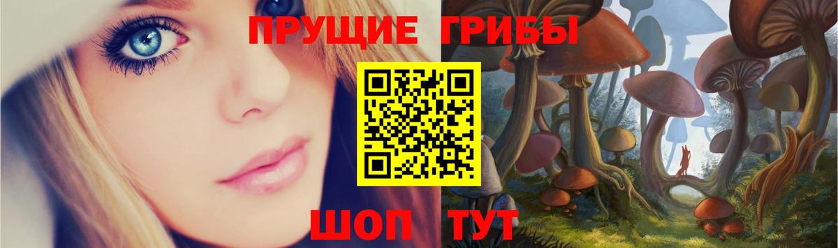Псилоцибиновые грибы Cubensis  Вход с VPN  Лесосибирск 