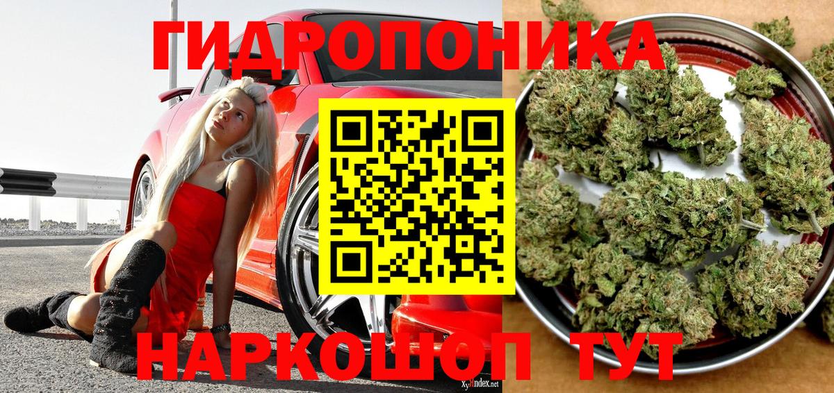 Канабис Amnesia  МАРИХУАНА семена  Лесосибирск  Вход с VPN  МАРИХУАНА VHQ 